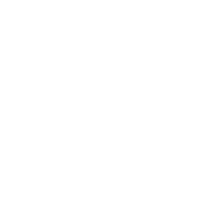 icon-white